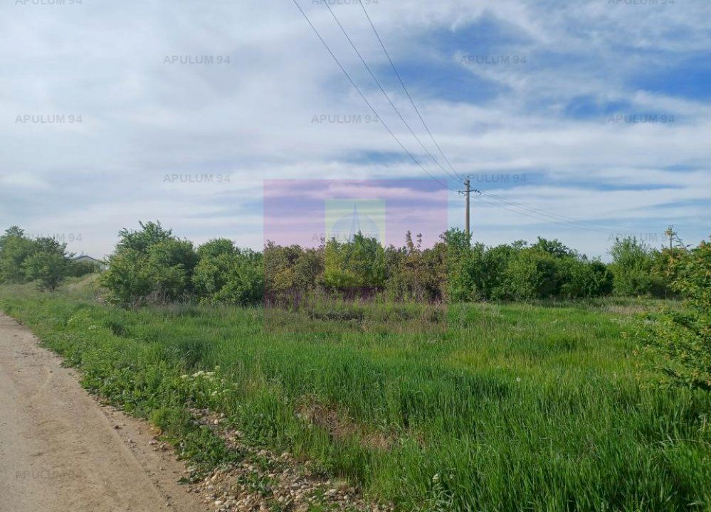 Teren 1400 mp, intravilan construibil, în Joița — fotografia 4