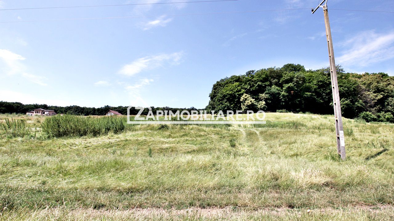 Teren 9.600 mp.17 euro mp deschidere la drum 200 m. — fotografia 3