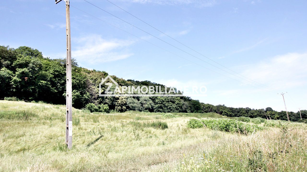 Teren 9.600 mp.17 euro mp deschidere la drum 200 m. — fotografia 4