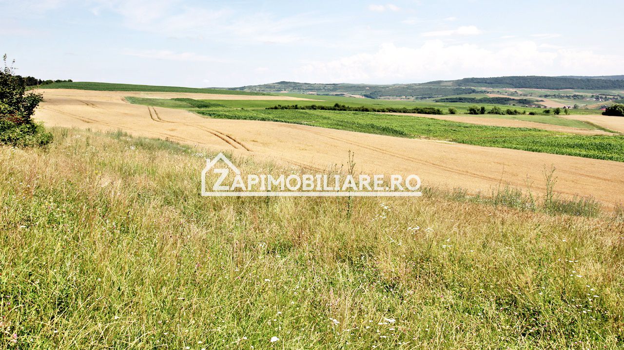 Teren 9.600 mp.17 euro mp deschidere la drum 200 m. — fotografia 5
