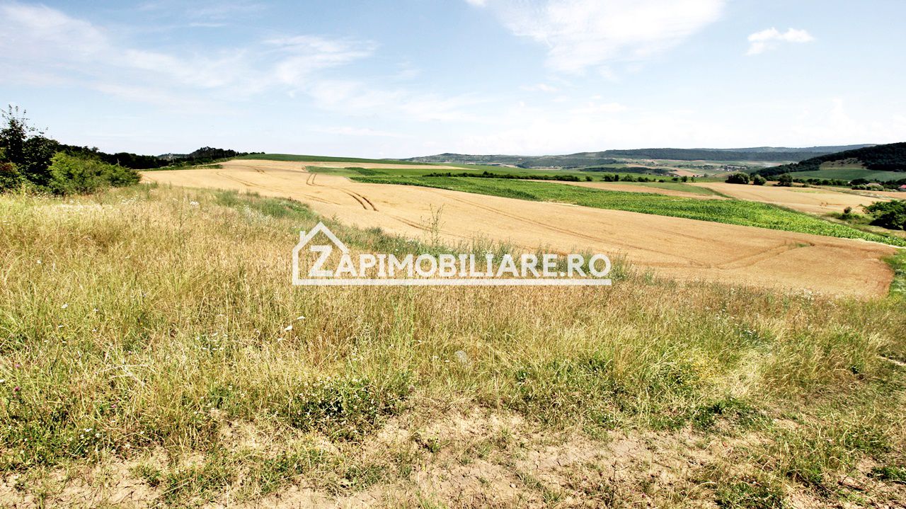 Teren 9.600 mp.17 euro mp deschidere la drum 200 m. — fotografia 6