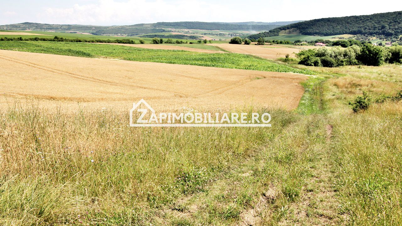 Teren 9.600 mp.17 euro mp deschidere la drum 200 m. — fotografia 7