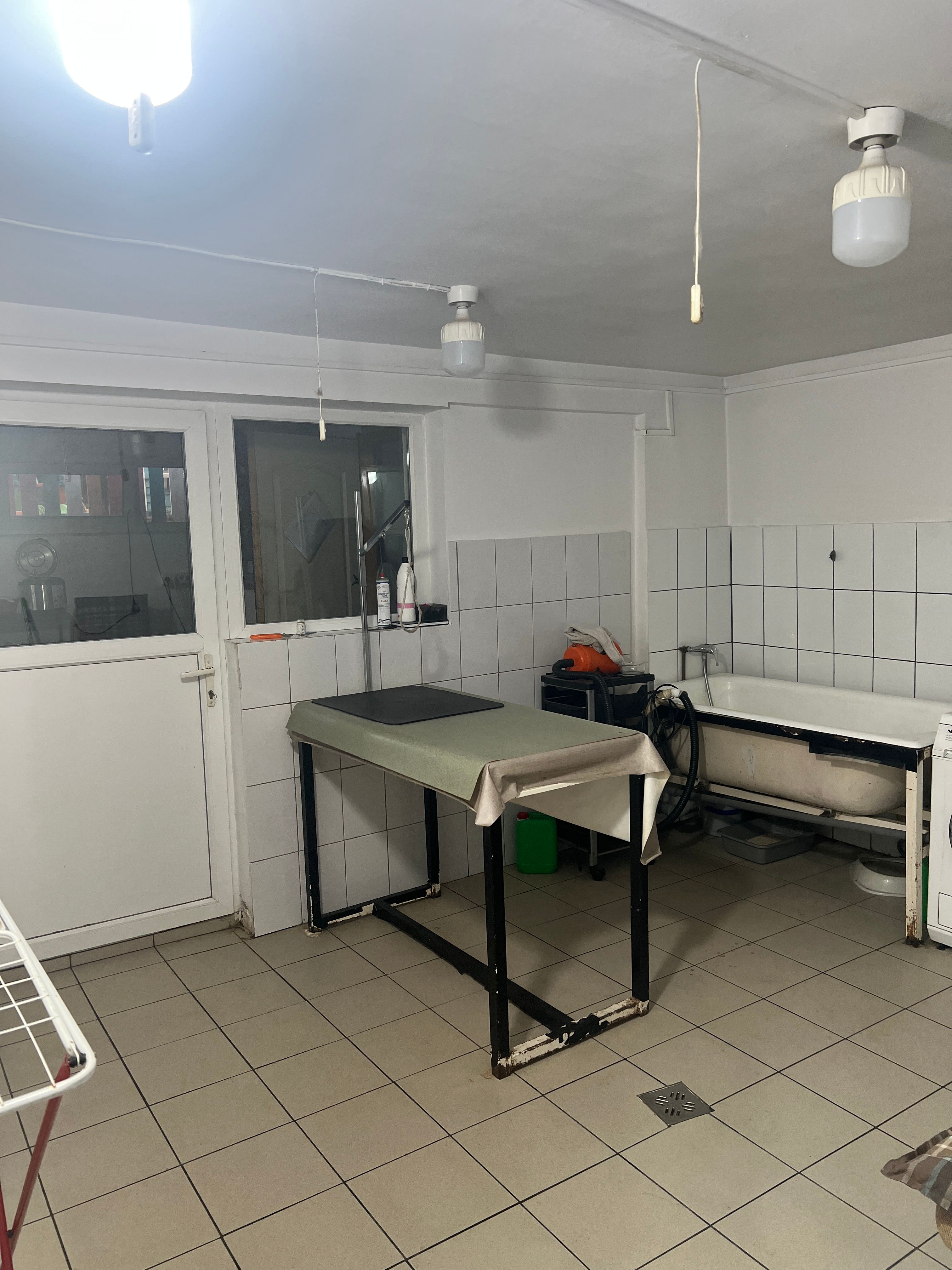 Imobil multifuncțional, 450 mp utili, teren 640 mp, Torontalului — fotografia 3