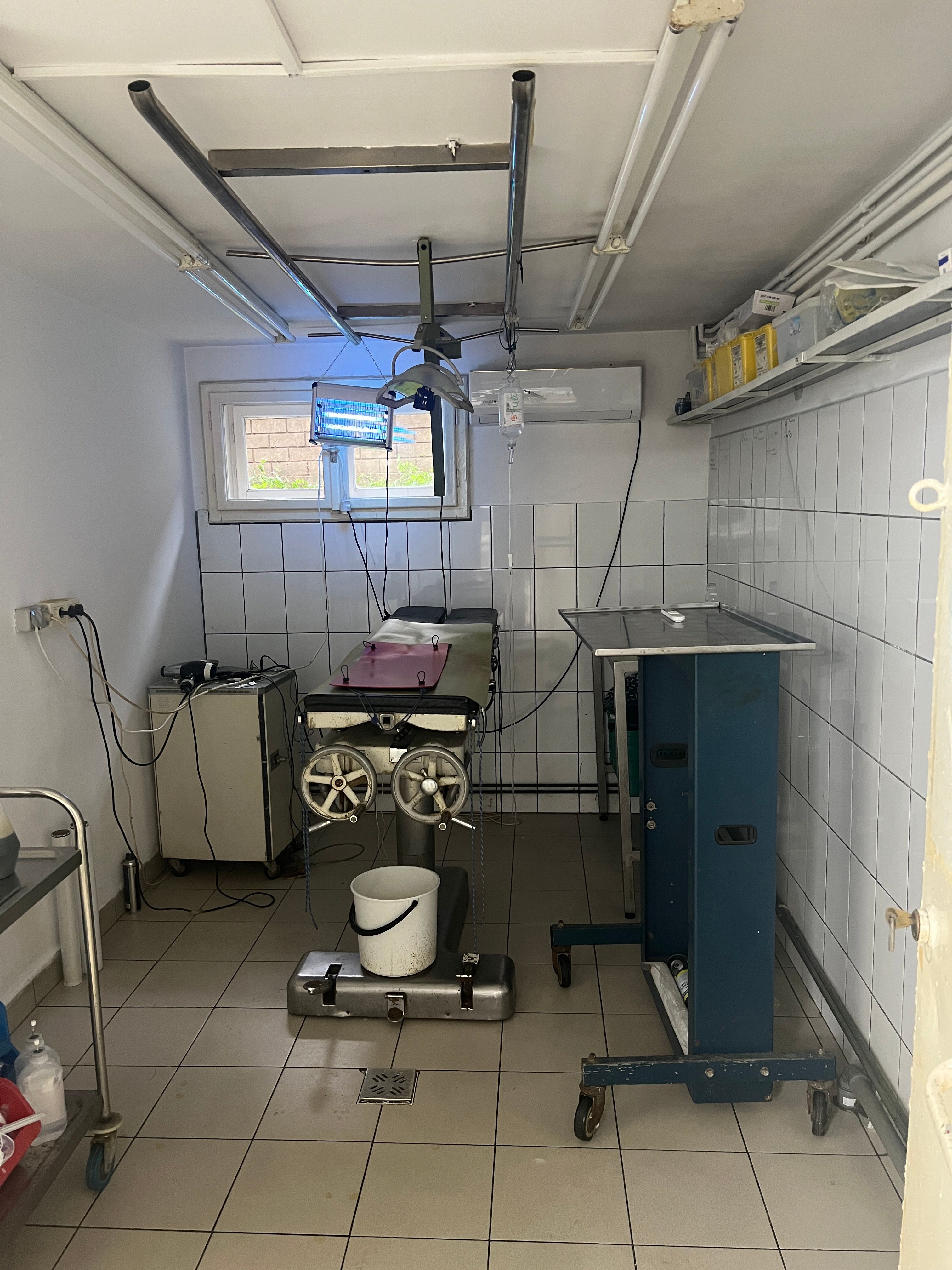 Imobil multifuncțional, 450 mp utili, teren 640 mp, Torontalului — fotografia 5