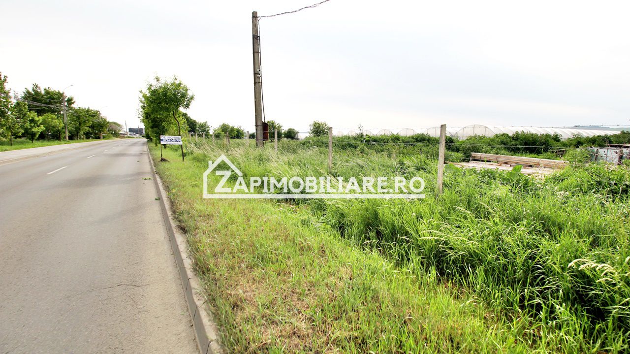 Teren 30.000 mp.cu  deschidere la strada Libertătii — fotografia 4