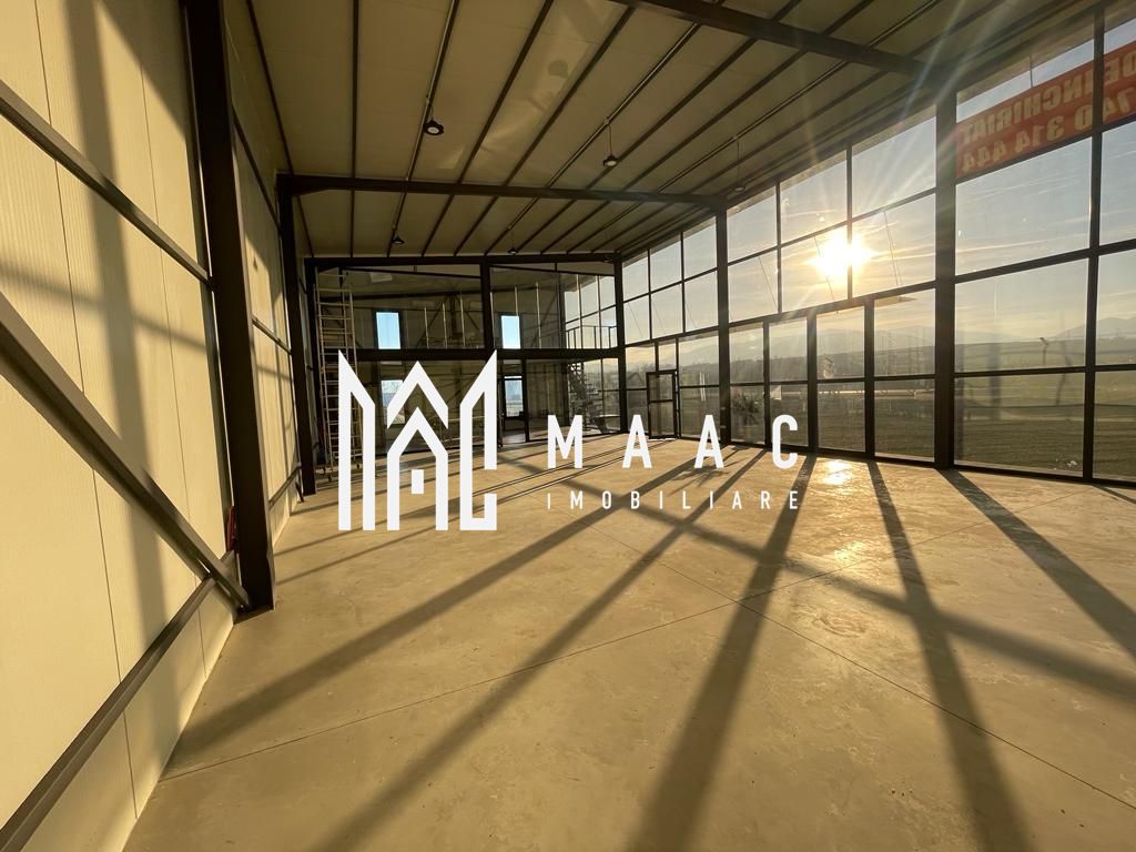 Hala | 250 MP | Teren 11.000 mp | — fotografia 8