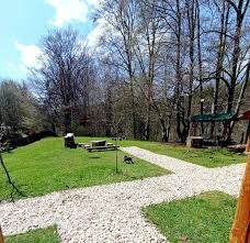 Vilă/Pensiune cu panouri fotovoltaice , terasă și foișor,  Investitie! — fotografia 19