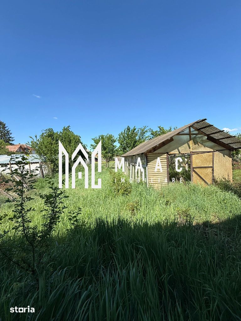 Casa 5 Camere | Teren 1.700 MP | Șura Mică — fotografia 19