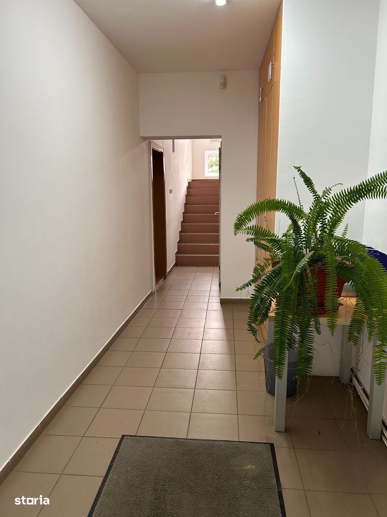 Casa cu mesteacan - DIRECT PROPRIETARI! - spectaculos toamna — fotografia 3