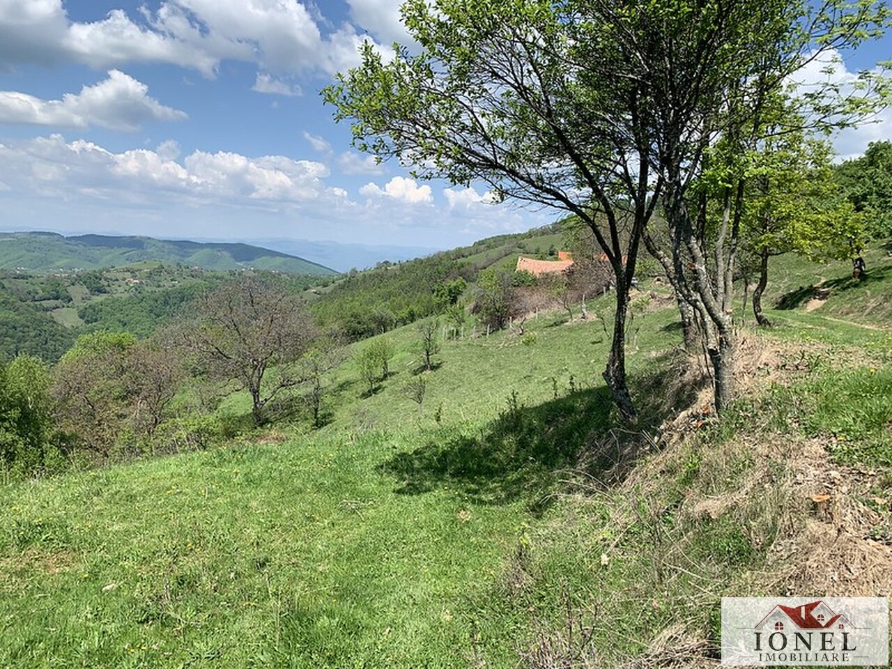 Teren extravilan 41.136 mp de vanzare in Abrud - Seliste