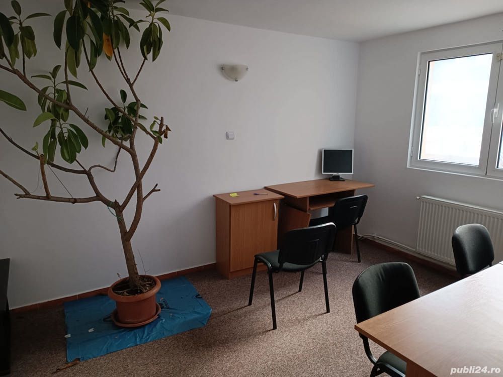 Vand vila spatiu comercial 200m — fotografia 5