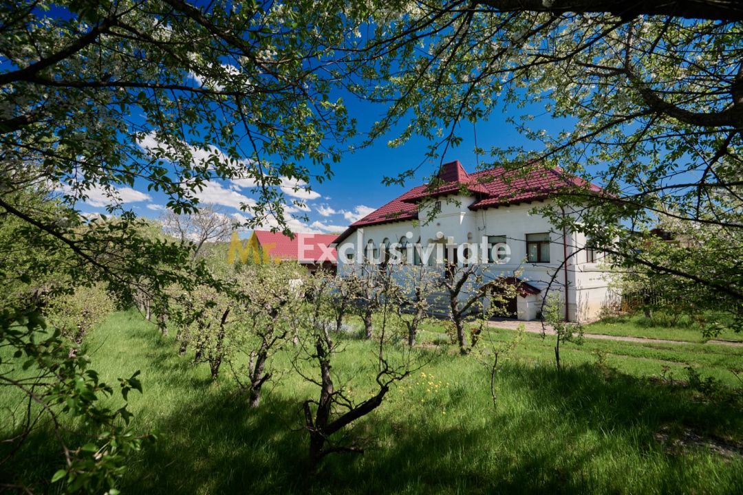 Casa Valea Mare Pravat (Campulung-Arges ) - farmec interbelic — fotografia 16
