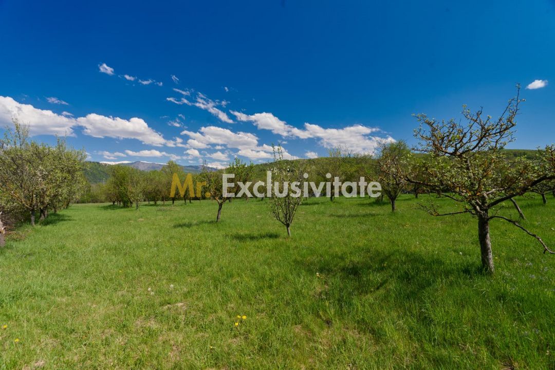 Casa Valea Mare Pravat (Campulung-Arges ) - farmec interbelic — fotografia 3