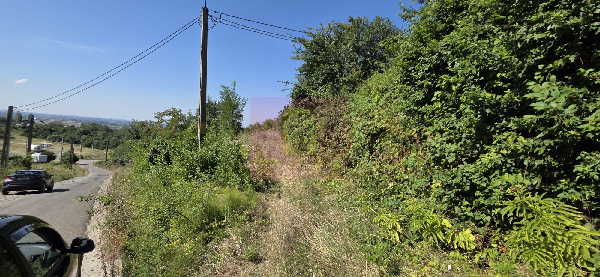 Teren intravilan 4.029 mp de vanzare, zona Crama Seciu — fotografia 4