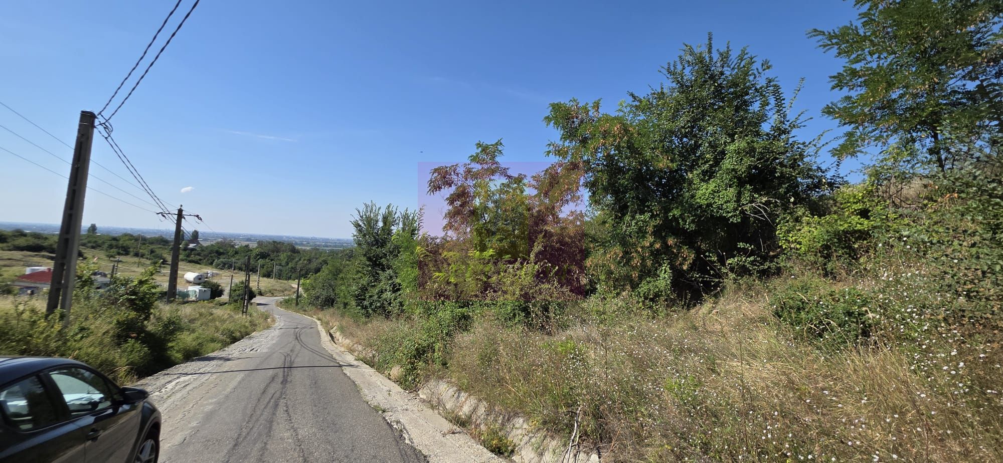 Teren intravilan 4.029 mp de vanzare, zona Crama Seciu — fotografia 6