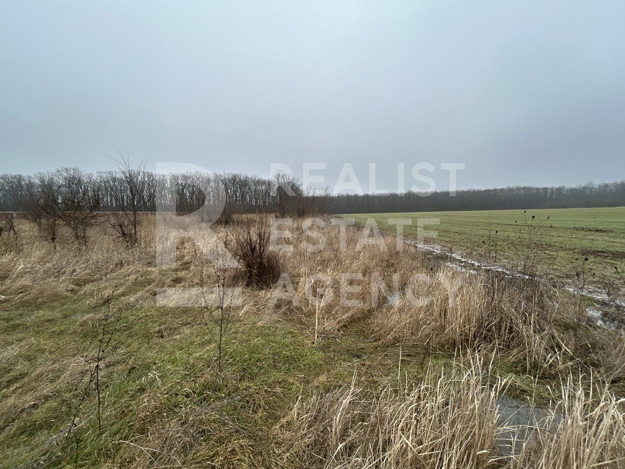 Teren intravilan de vânzare – 5.986 mp, Ciofliceni, Snagov (Ilfov)