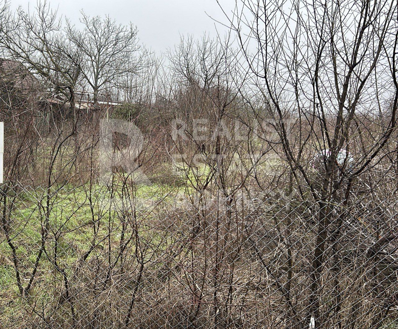Teren intravilan de vânzare – 5.986 mp, Ciofliceni, Snagov (Ilfov) — fotografia 3