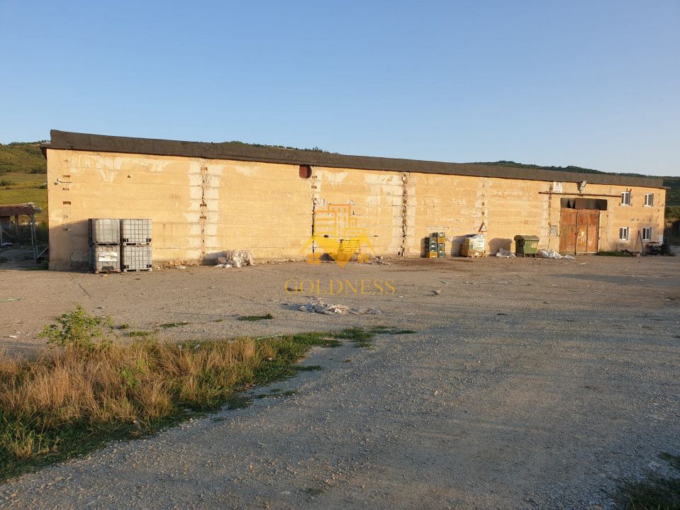Hala industriala Dej cu platforma betonata curent trifazi — fotografia 6