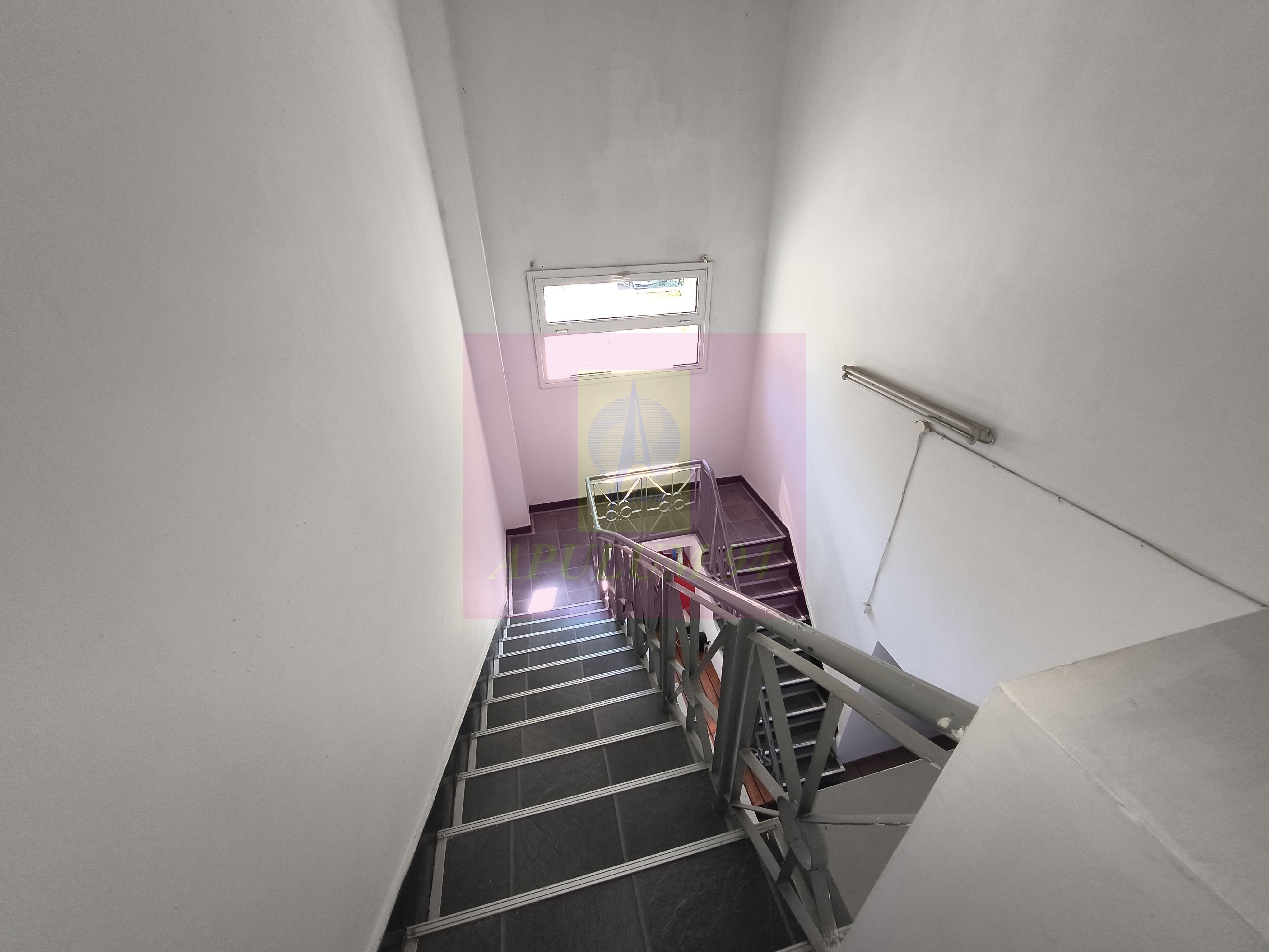 Proprietate Specială în Zona Metropolitană București-Ilfov — fotografia 5