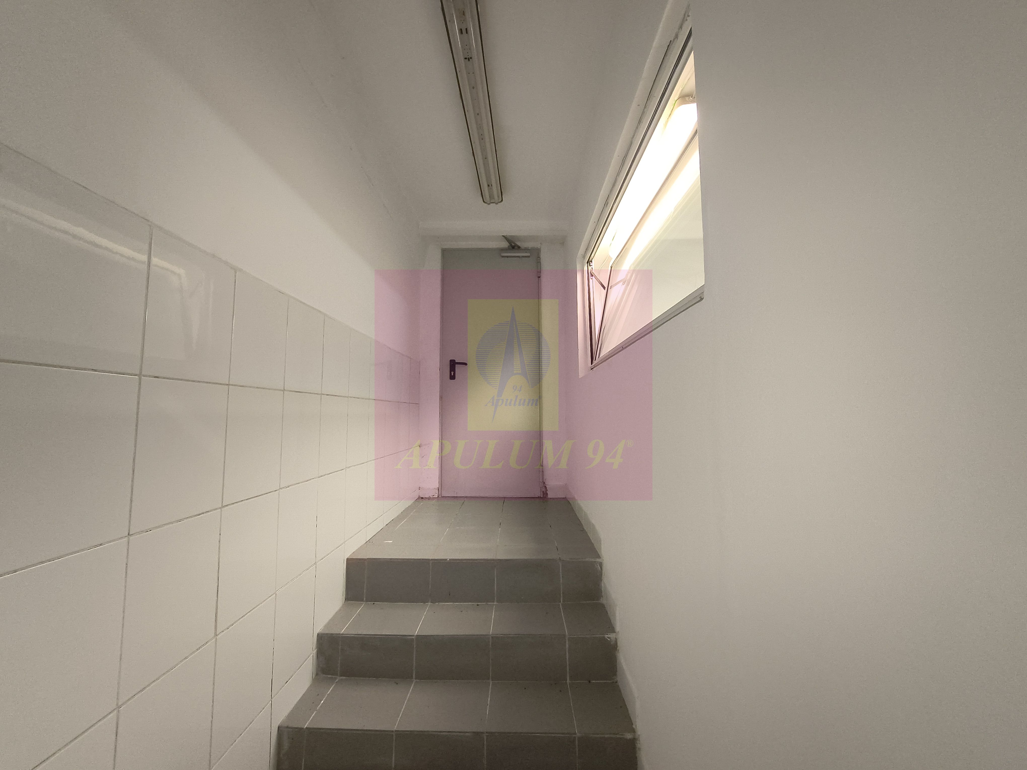 Proprietate Specială în Zona Metropolitană București-Ilfov — fotografia 6