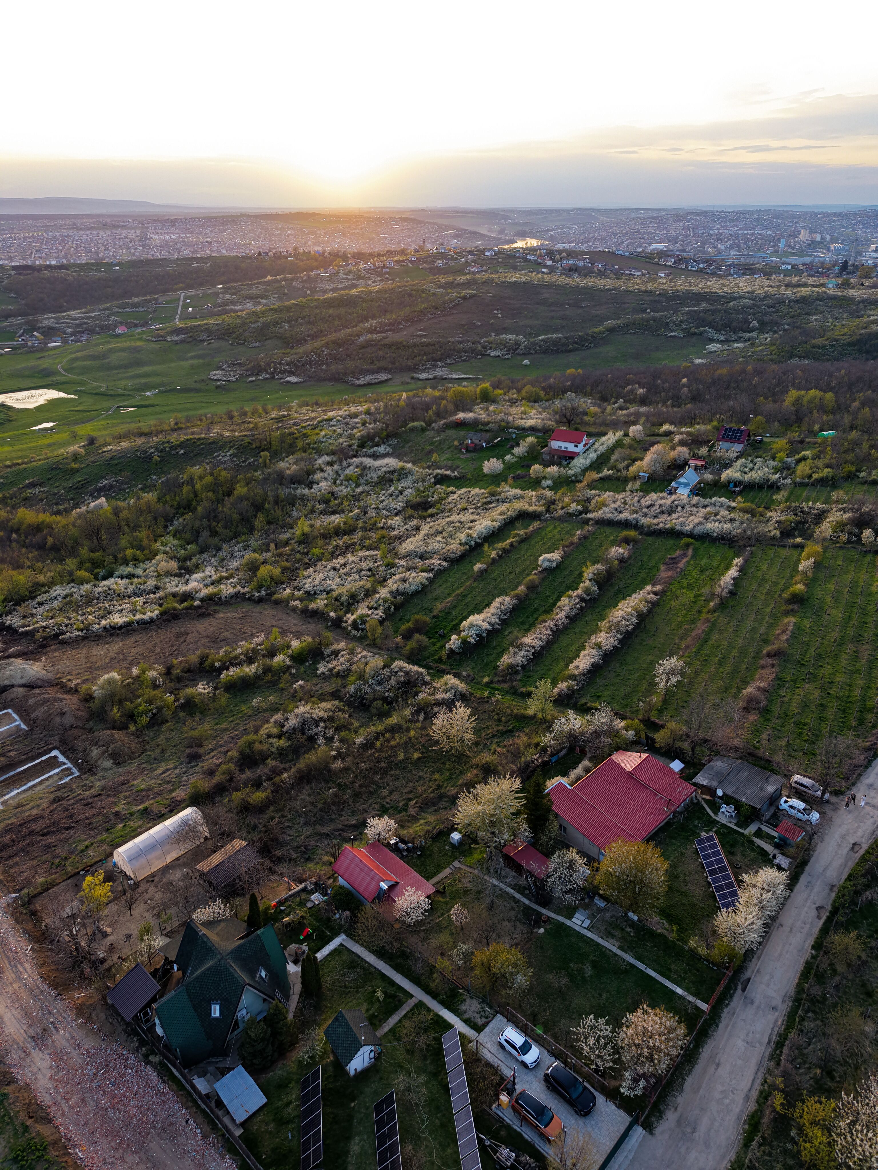 COMISION 0% CUMPARATOR - Teren intravilan 900 mp - Vișan, Barnova
