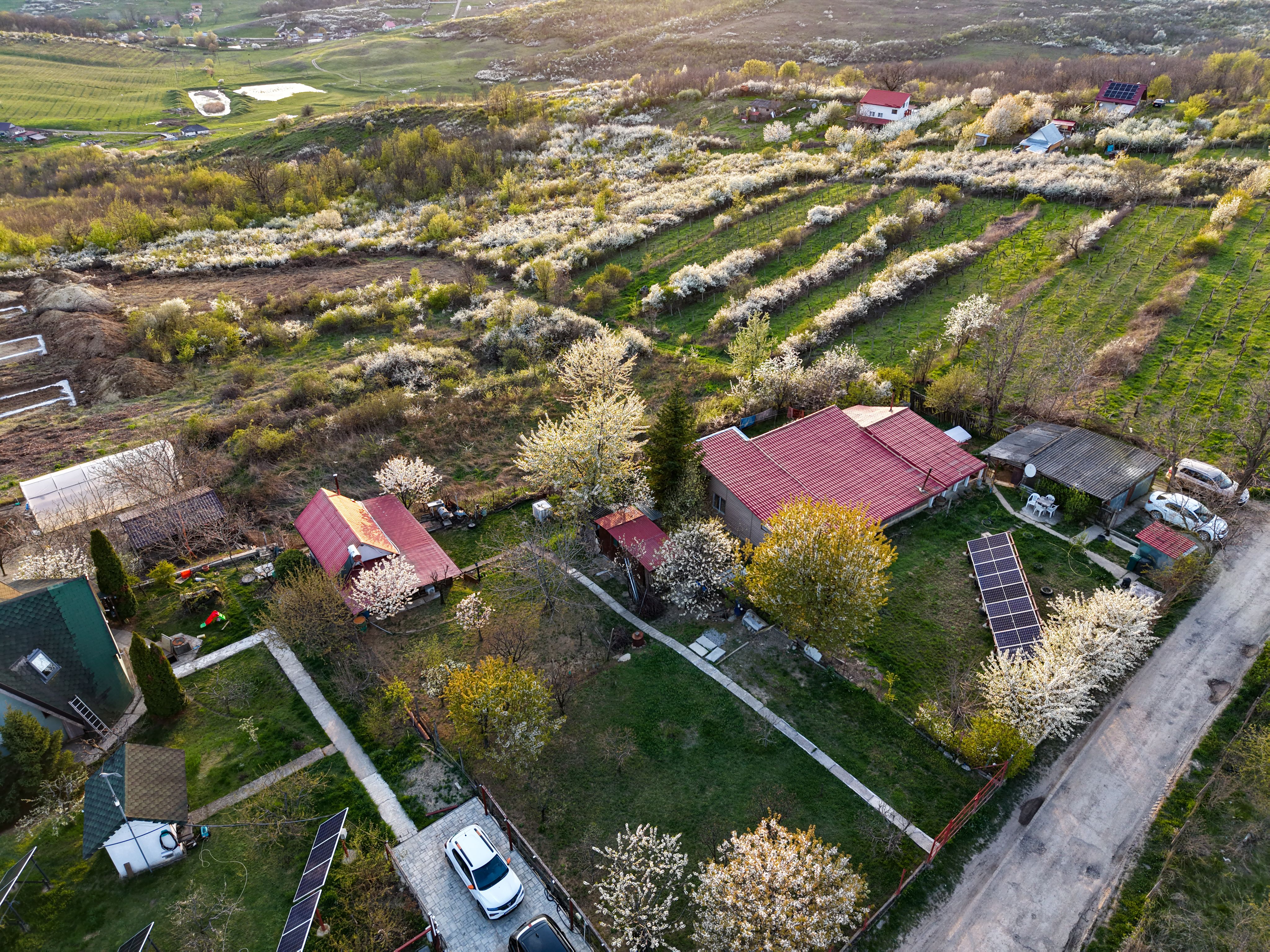 COMISION 0% CUMPARATOR - Teren intravilan 900 mp - Vișan, Barnova — fotografia 3
