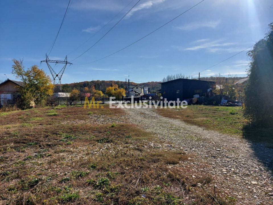De închiriat: Hale si locuință pe 3 000 mp/ Bascov - Argeș — fotografia 10