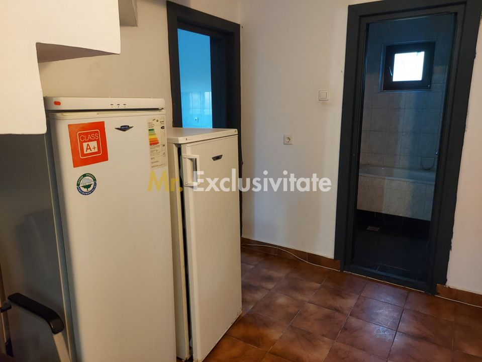 De închiriat: Hale si locuință pe 3 000 mp/ Bascov - Argeș — fotografia 16