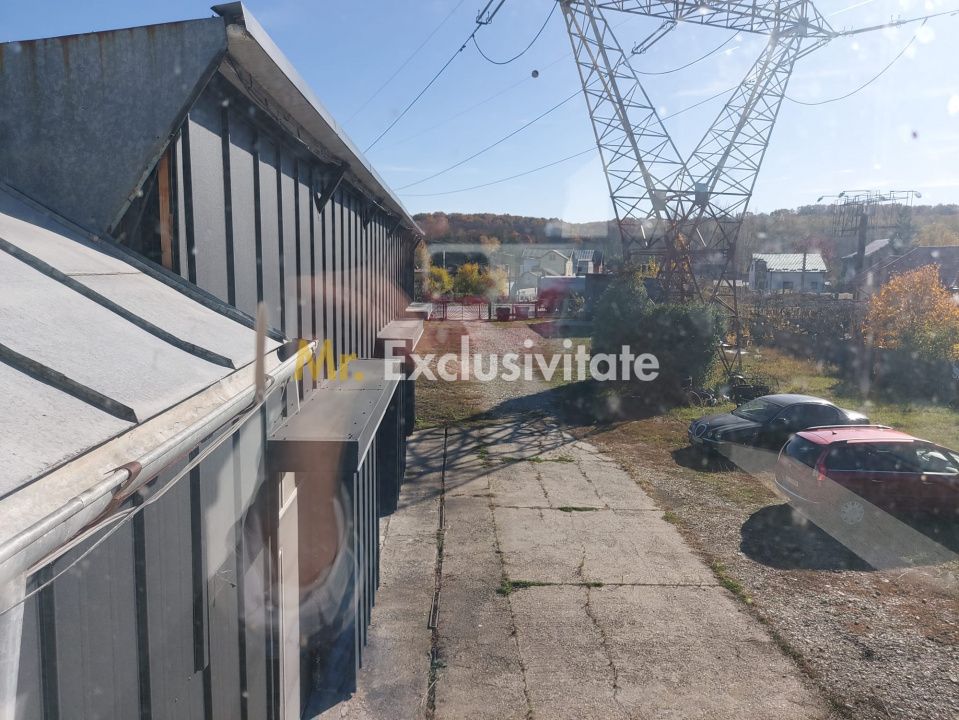 De închiriat: Hale si locuință pe 3 000 mp/ Bascov - Argeș — fotografia 4