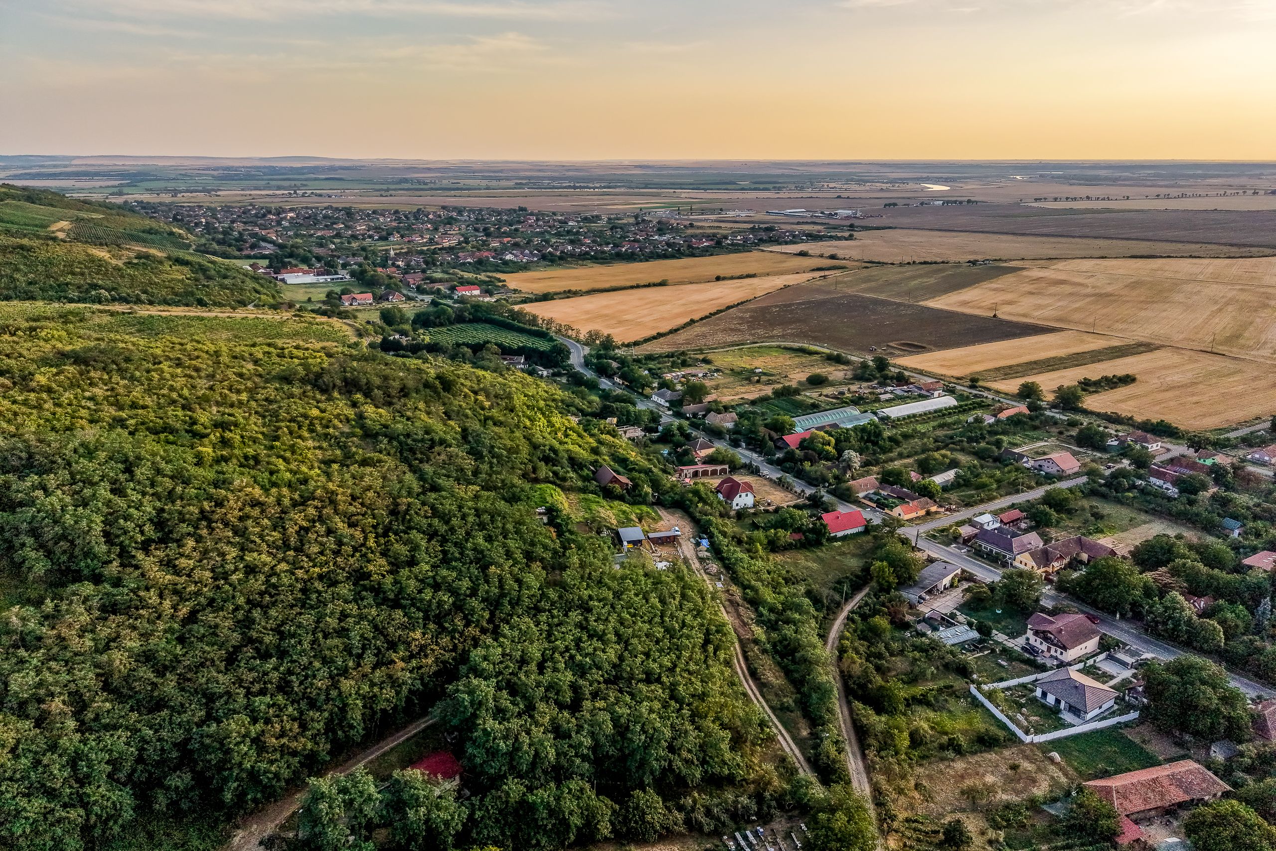 Teren în Miniș, pe deal, 1.150 mp, front 26 m, Drumul Vinului — fotografia 3