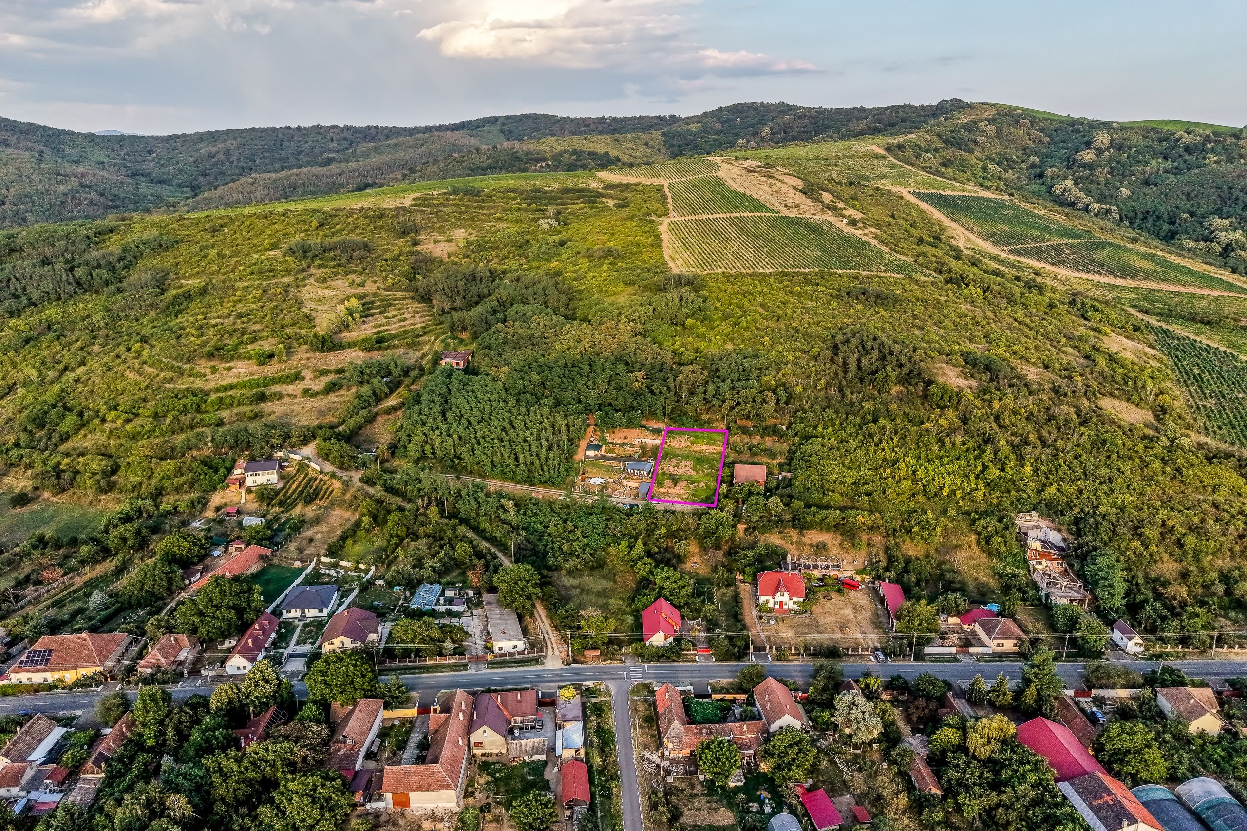 Teren în Miniș, pe deal, 1.150 mp, front 26 m, Drumul Vinului — fotografia 4