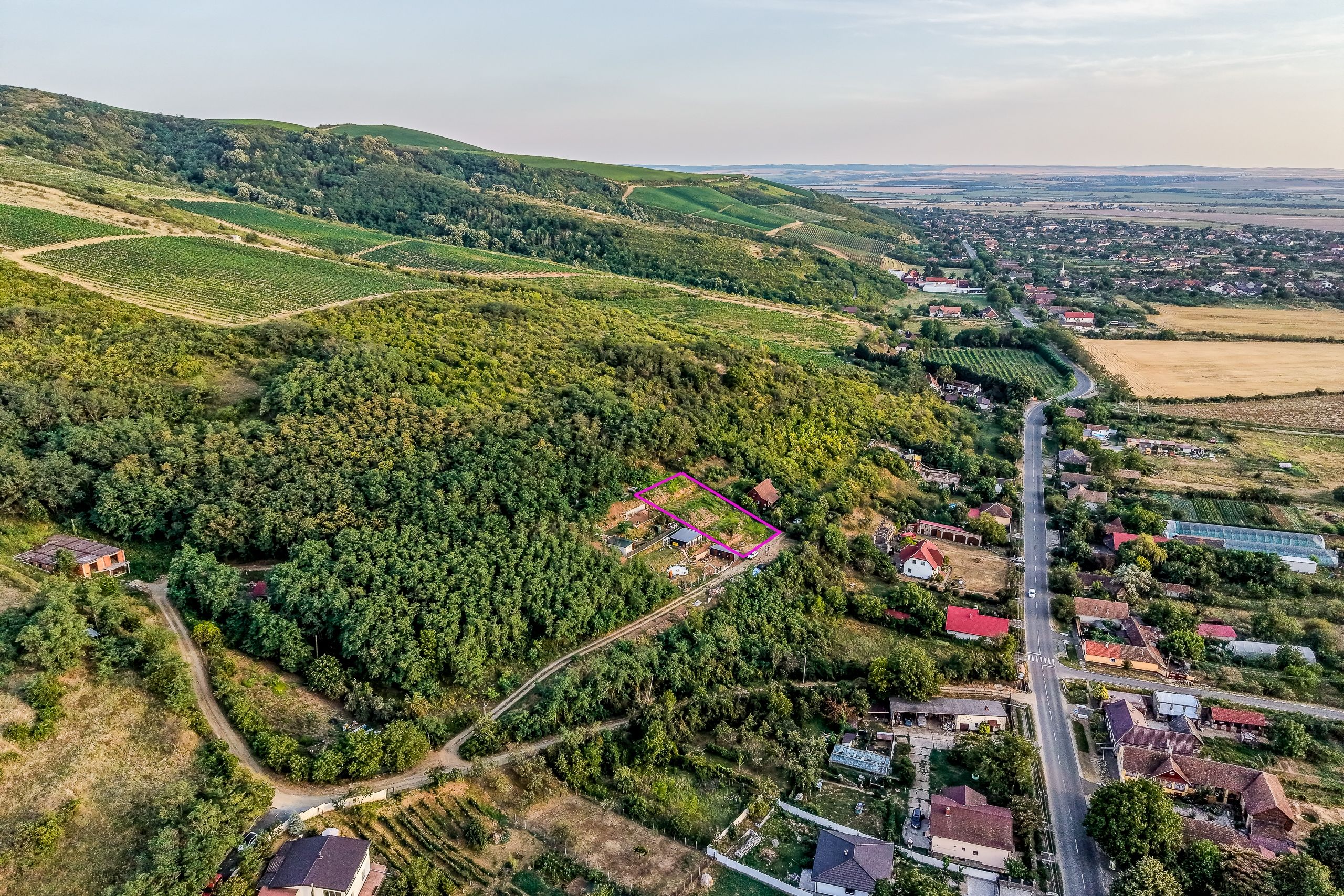 Teren în Miniș, pe deal, 1.150 mp, front 26 m, Drumul Vinului — fotografia 5