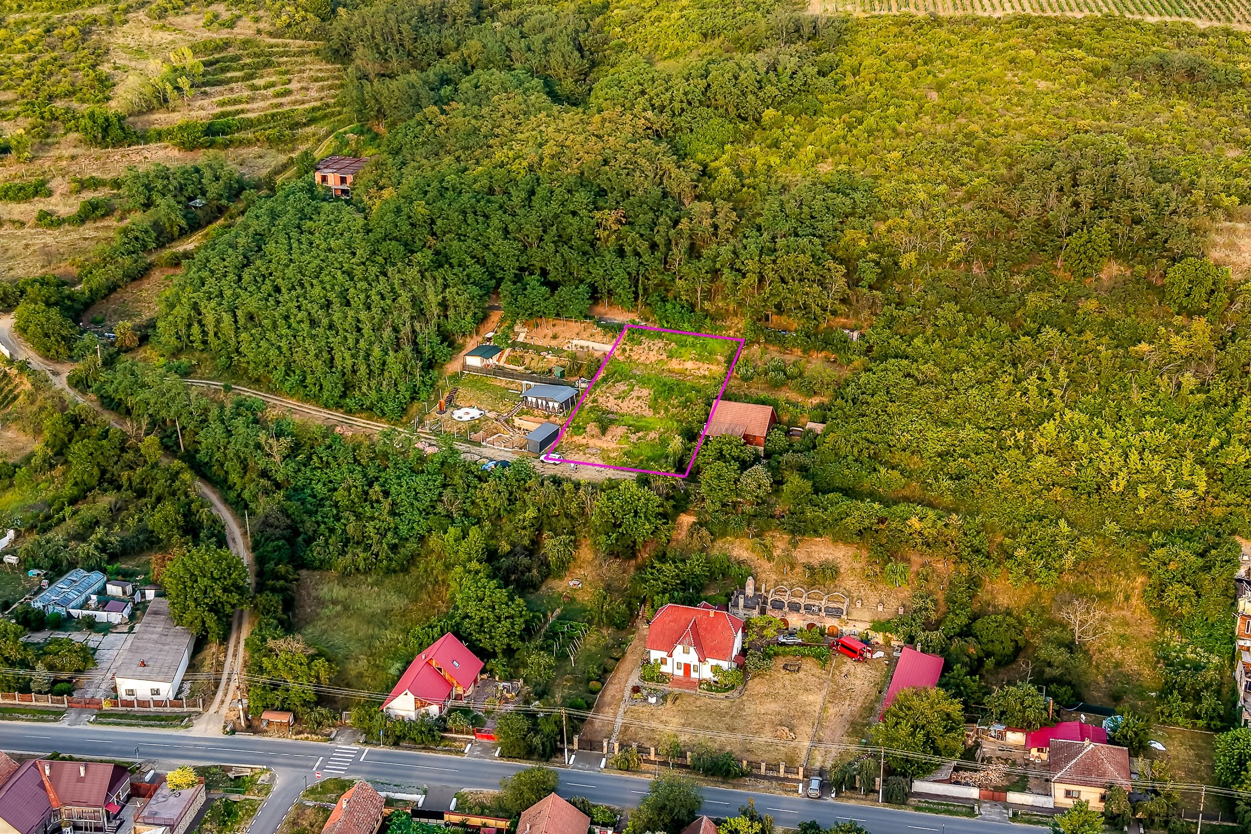 Teren în Miniș, pe deal, 1.150 mp, front 26 m, Drumul Vinului — fotografia 6