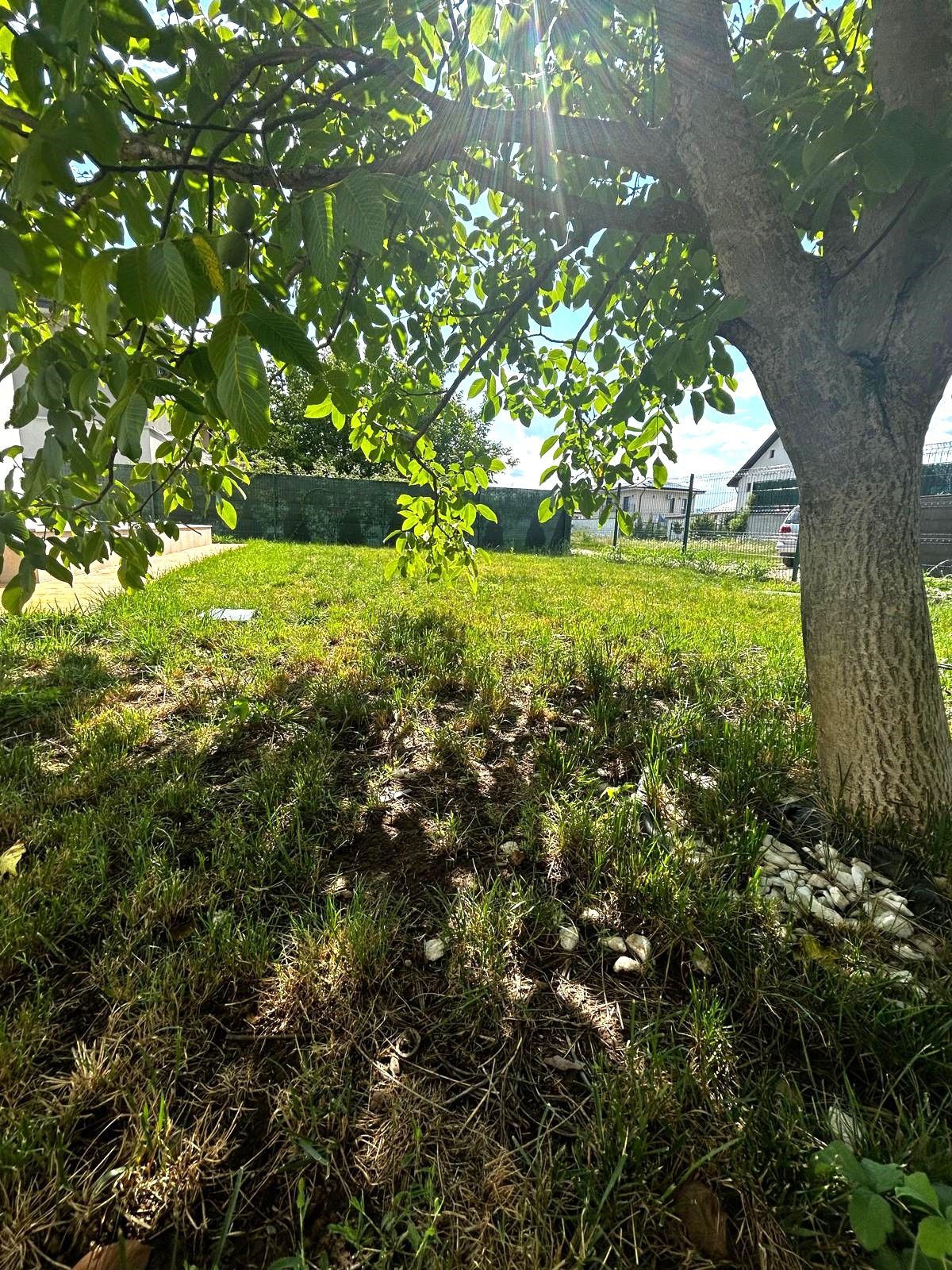 Casă de închiriat | 5 camere | Curte de 400 mp | Corbeanca — fotografia 15