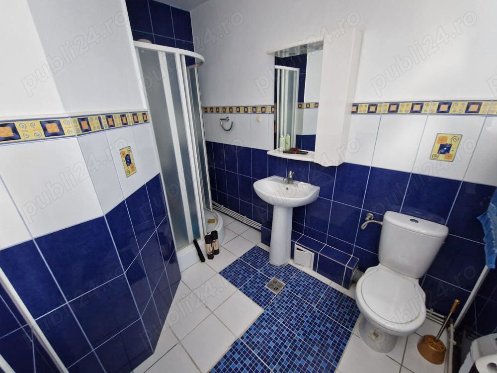 Persoana fizica vand vila zona Bucium — fotografia 5