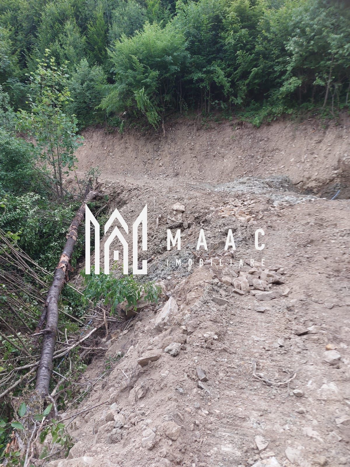 5000 teren in Muntii Apuseni I Pregatit pentru constructie — fotografia 17