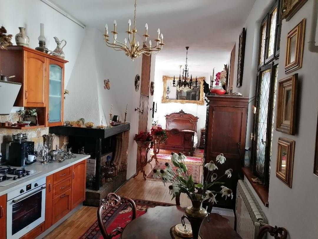 COTROCENI - Cuibușorul de nebunii al pictorului Zamfir DUMITRESCU — fotografia 3