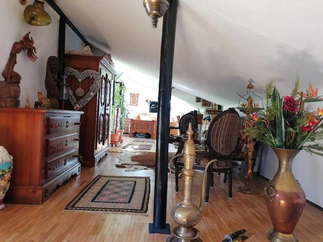 COTROCENI - Cuibușorul de nebunii al pictorului Zamfir DUMITRESCU — fotografia 6