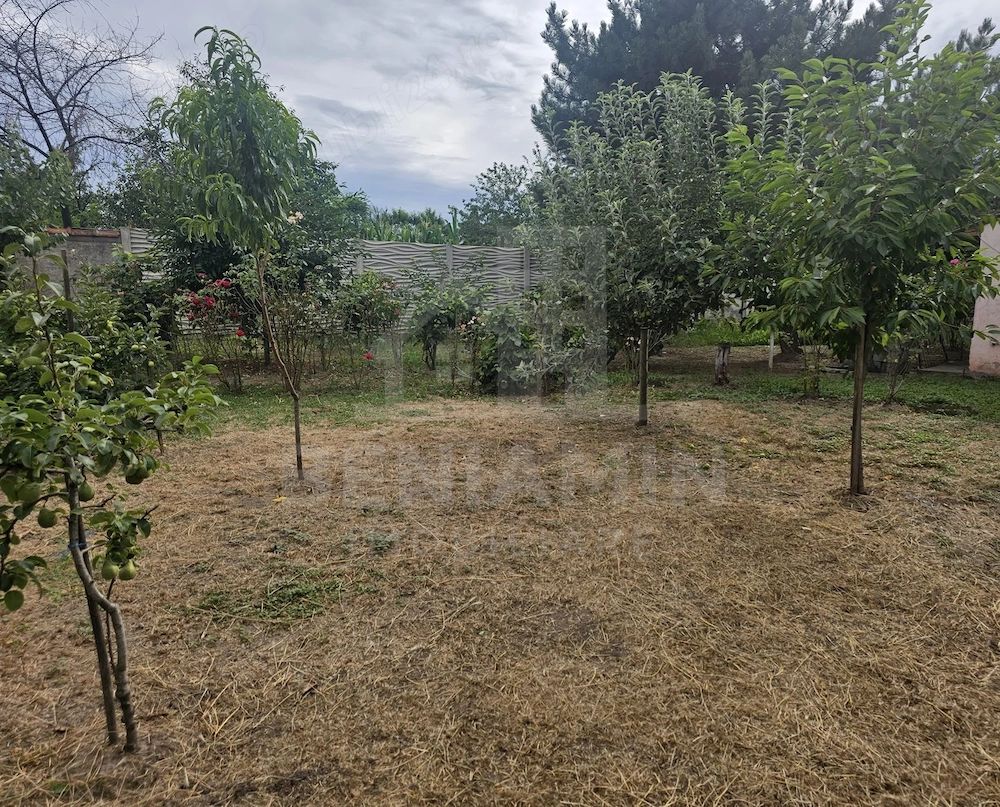 Casa-cu-Teren-Generos-(625 mp)-Panouri-Solare – Bariera-Valcii — fotografia 3