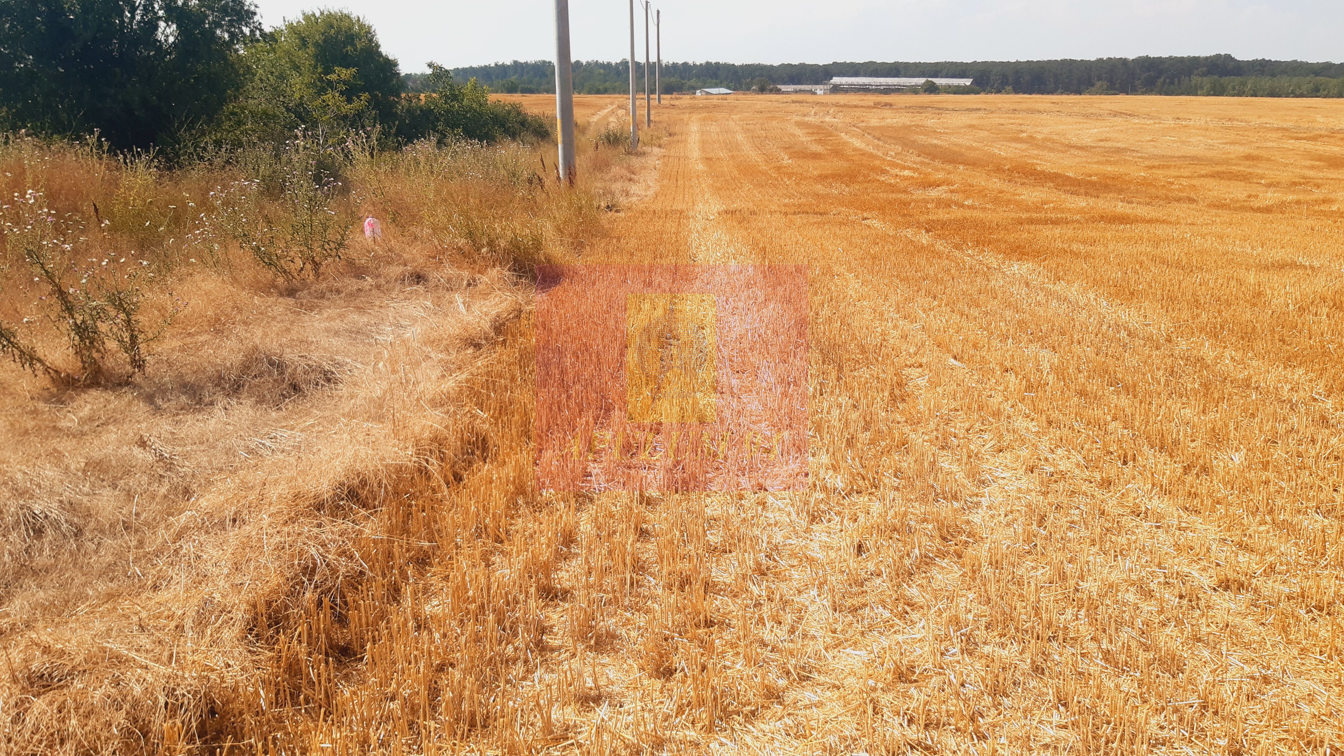 Teren pentru casă/case în Brănești pe strada Toporași — fotografia 2