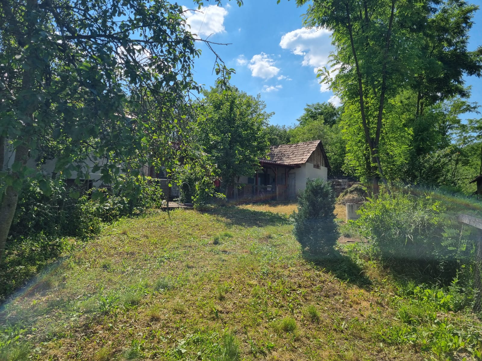 CASĂ LA ȚARĂ, SÂMBOLENI, COMUNA CAMARAȘU — fotografia 10