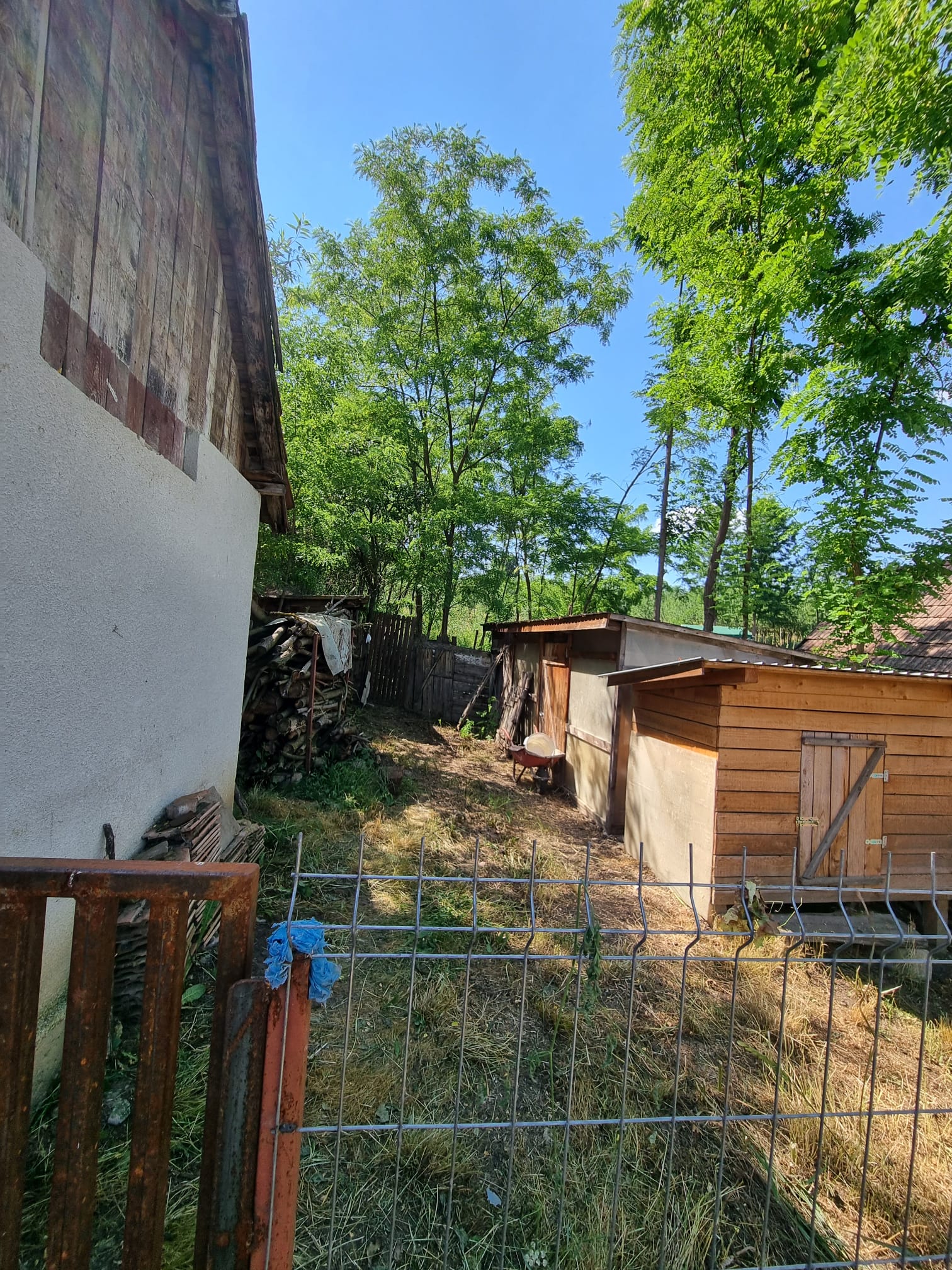 CASĂ LA ȚARĂ, SÂMBOLENI, COMUNA CAMARAȘU — fotografia 16