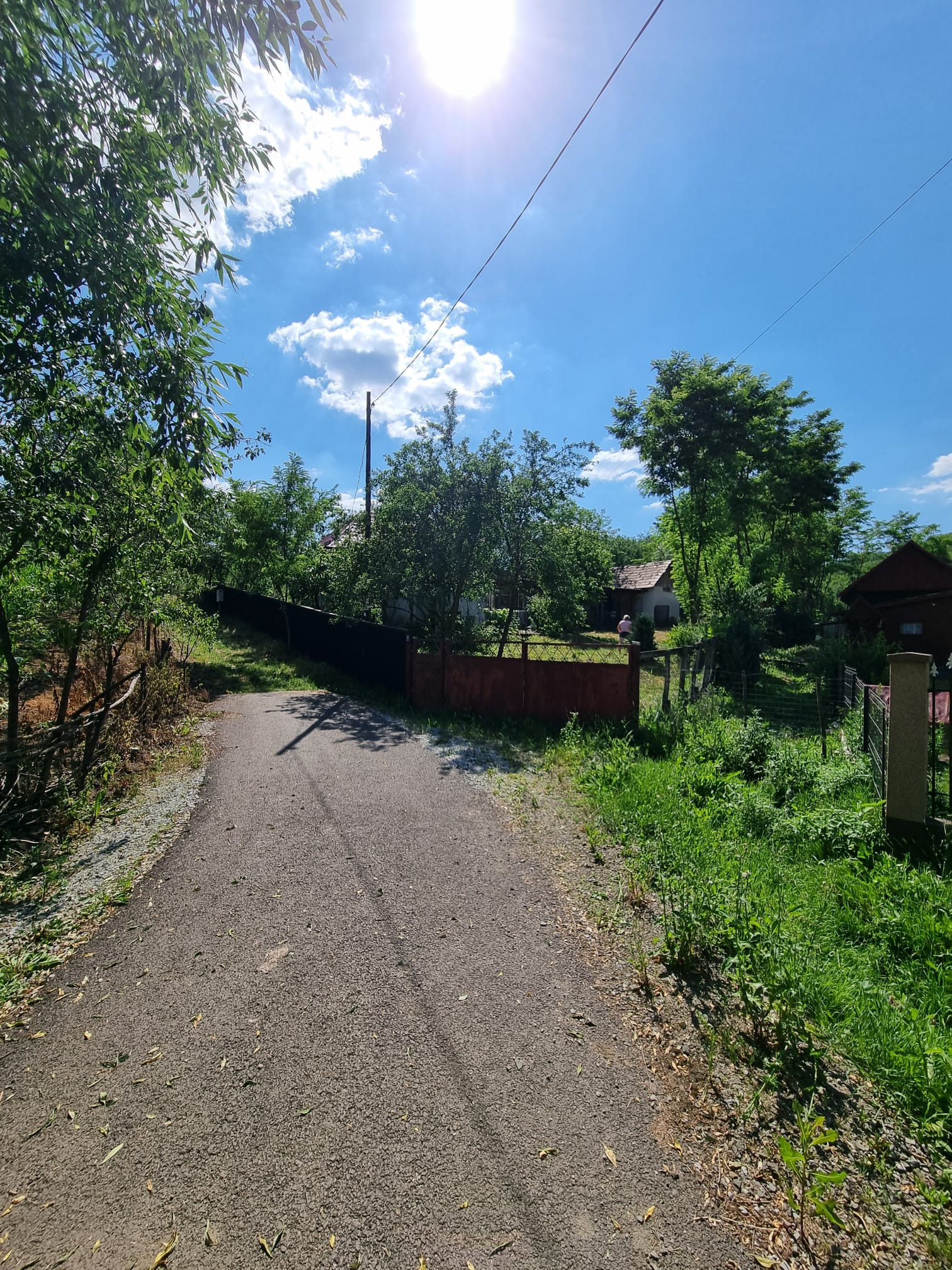 CASĂ LA ȚARĂ, SÂMBOLENI, COMUNA CAMARAȘU — fotografia 17