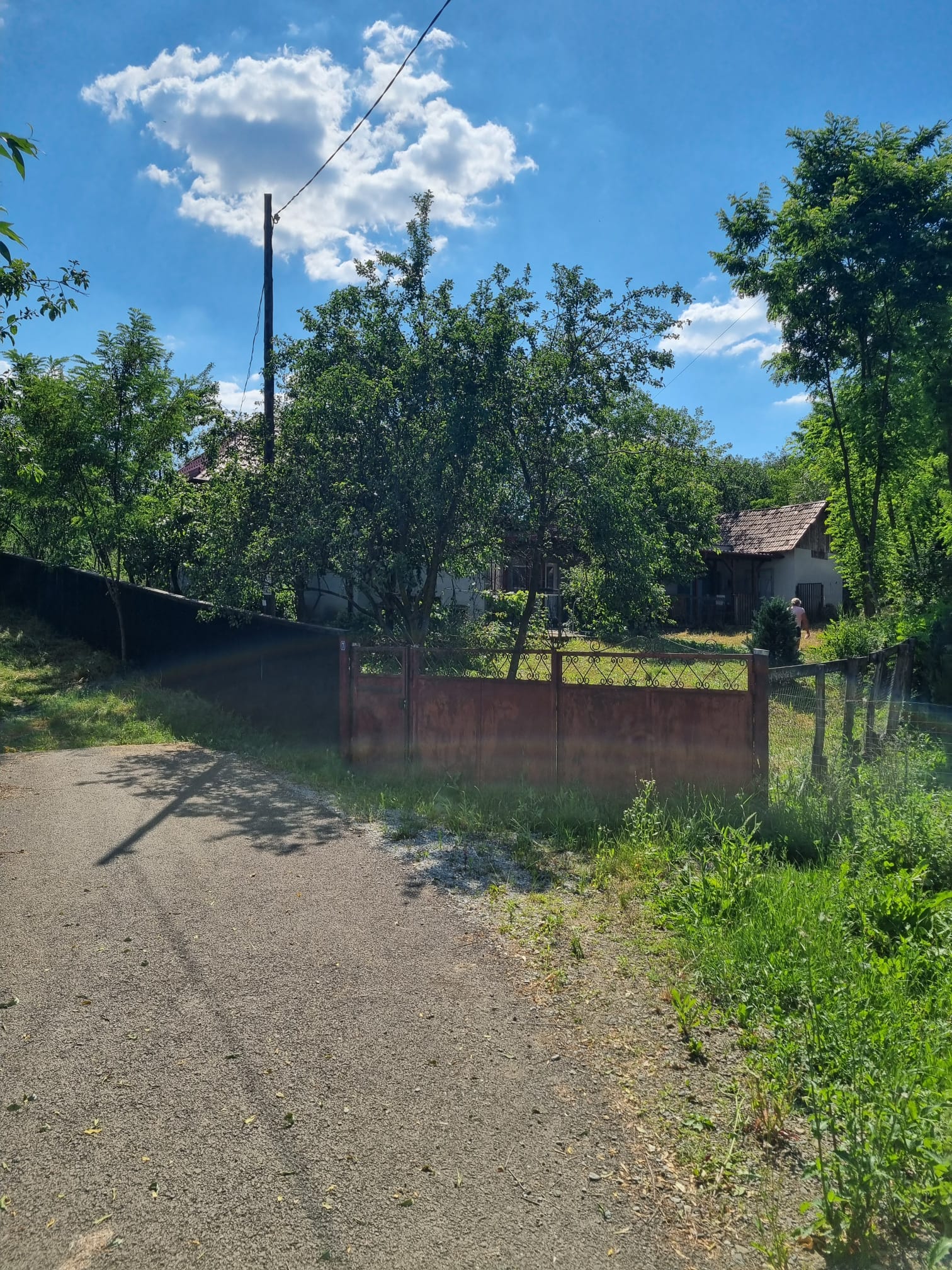 CASĂ LA ȚARĂ, SÂMBOLENI, COMUNA CAMARAȘU — fotografia 19