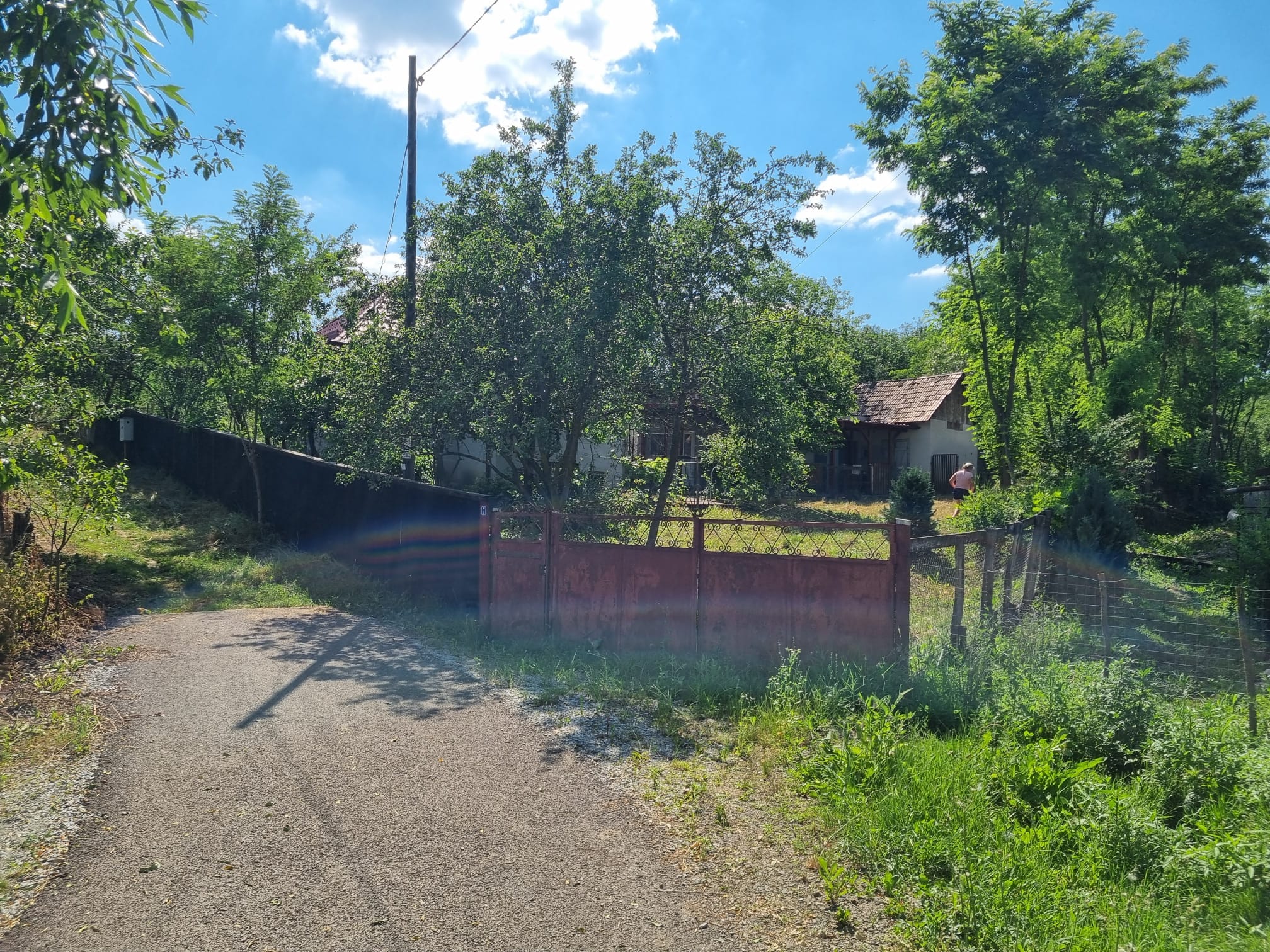 CASĂ LA ȚARĂ, SÂMBOLENI, COMUNA CAMARAȘU — fotografia 21