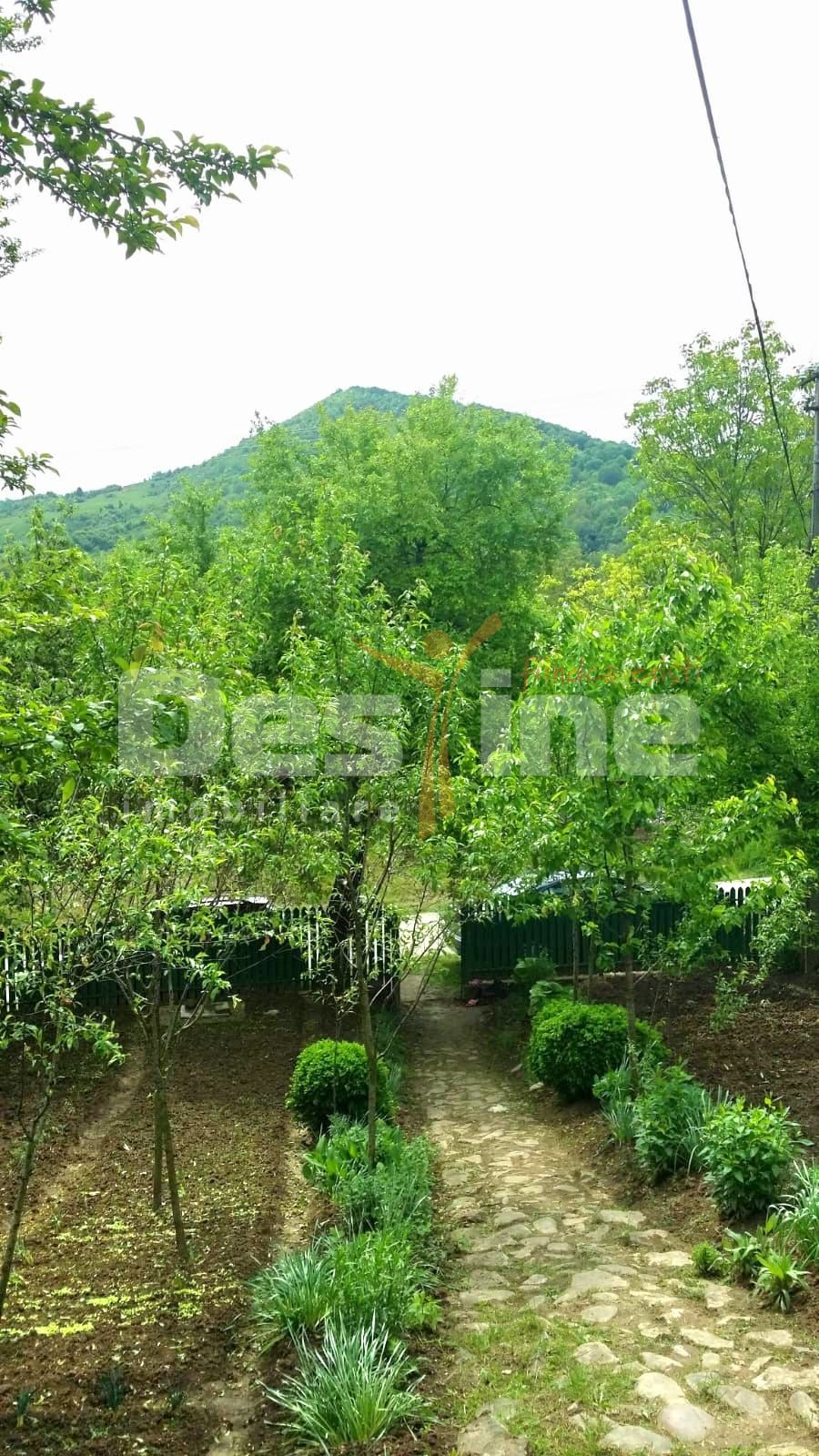 Teren intravilan/extravilan Malaiestii de Sus — fotografia 4