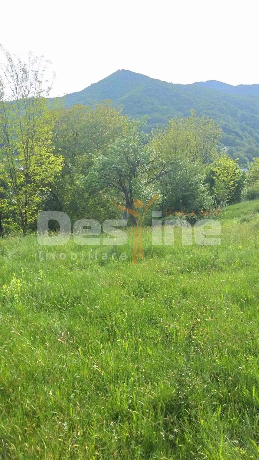 Teren intravilan/extravilan Malaiestii de Sus — fotografia 5
