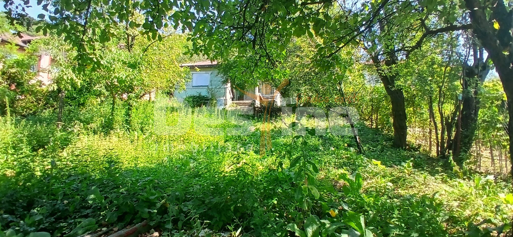 Teren intravilan/extravilan Malaiestii de Sus — fotografia 9