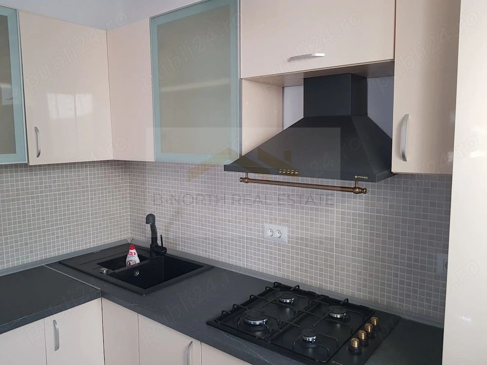 Apartament 2 camere de închiriat  Lângă Parcul Carol | Vedere panoramica — fotografia 5