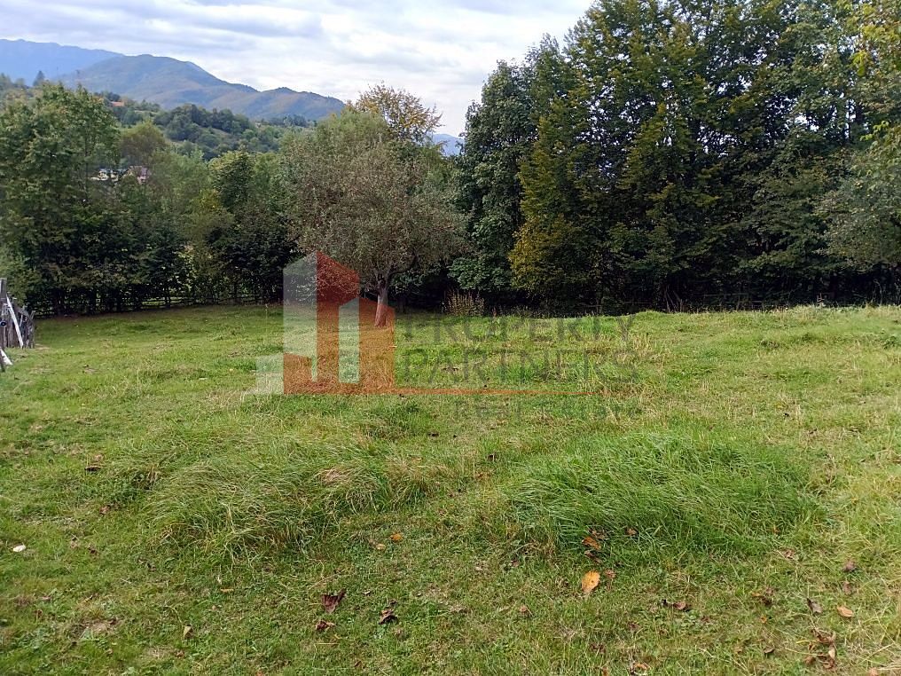 Teren intravilan 1.300 mp | Vedere Piatra Craiului | Bran Poarta — fotografia 3